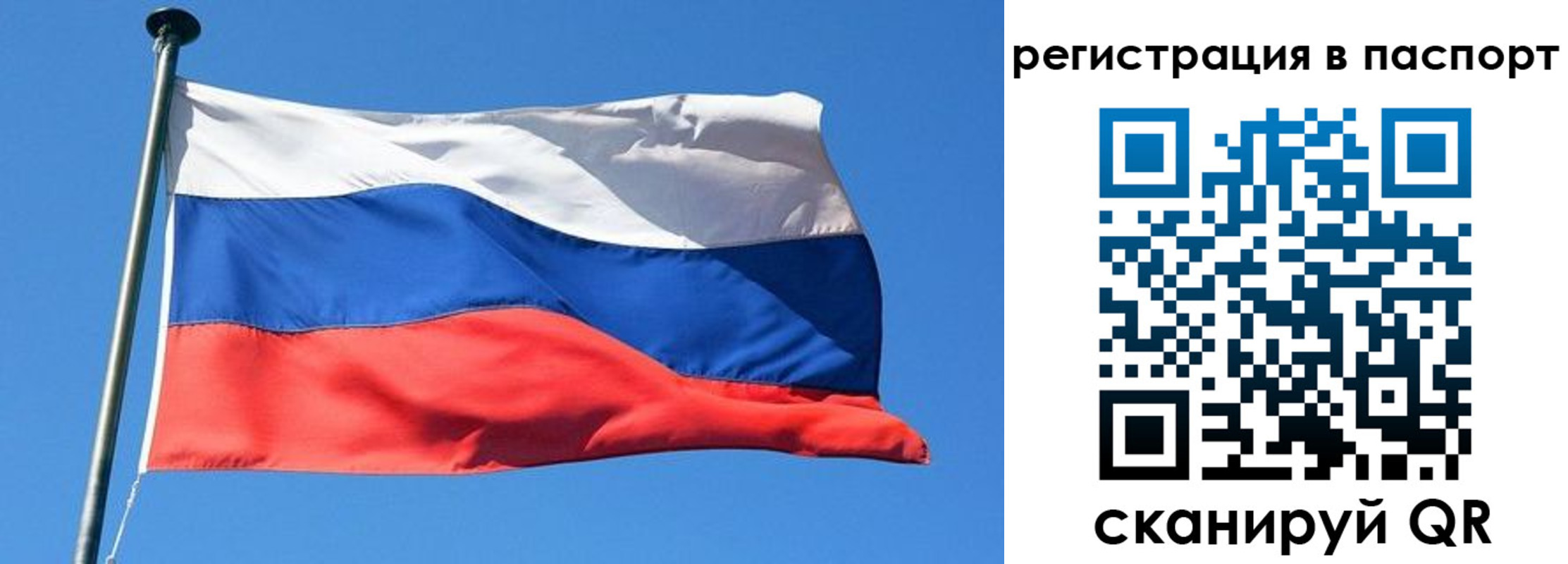 найти адрес прописки в Гатчине